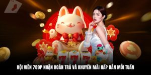 Ưu đãi và khuyến mãi đặc biệt dành cho hội viên 789P