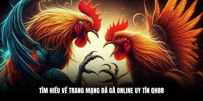 Giới thiệu chi tiết trang mạng đá gà online uy tín QH88