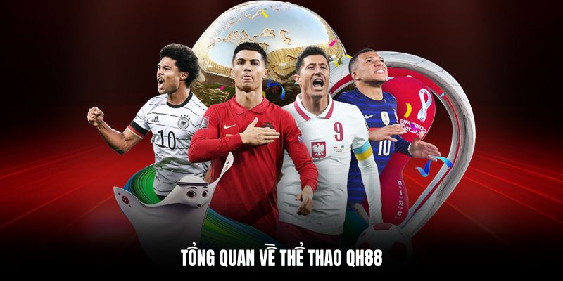 Tổng quan sảnh thể thao QH88